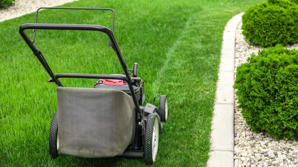 lawnmower maintenance problems