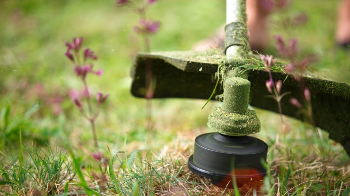 Changing grass trimmer linefeatured image